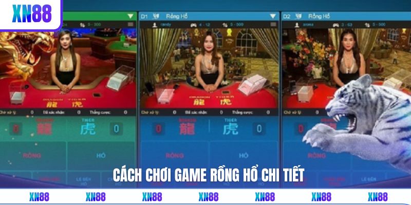 Chi tiết về các luật lệ cơ bản trong Rồng Hổ